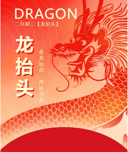 二月二龍?zhí)ь^，春龍振翅鴻運(yùn)啟 —— 佳木斯網(wǎng)云信息科技有限公司與您共迎新春盛景